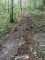 Ravine après la pluie